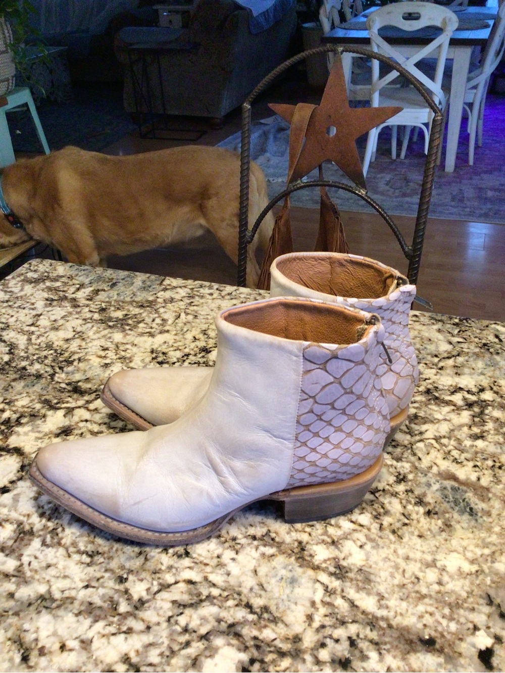 Freebird Cream Leather Pointed Toe Ankle Booties - Picture 2 of 8